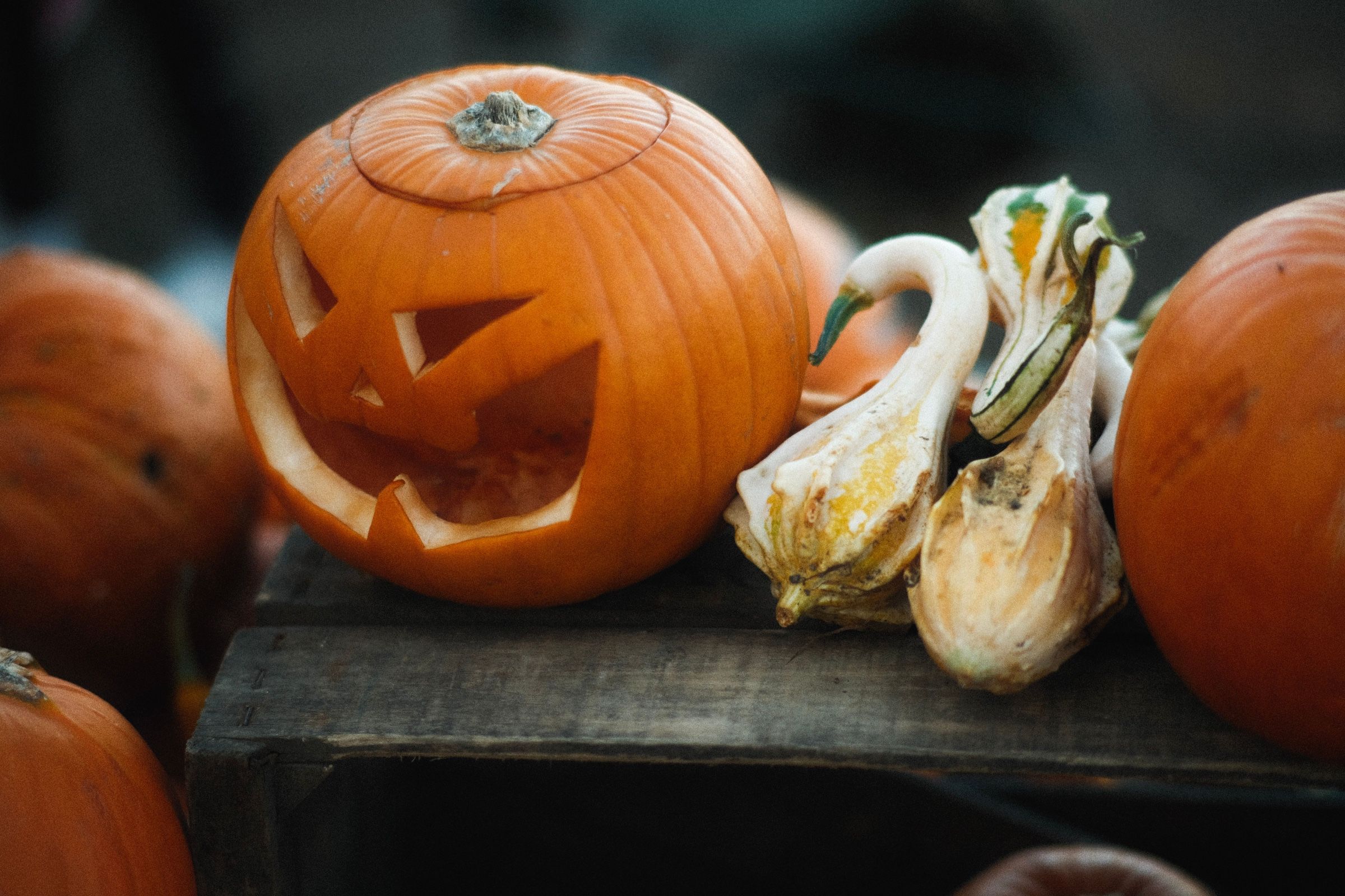 Halloween: irský svátek odplul s Iry do nového světa a teď se nám vrací zpátky